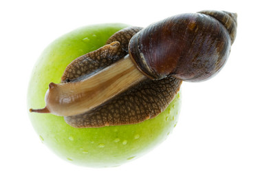 Similar image 476478