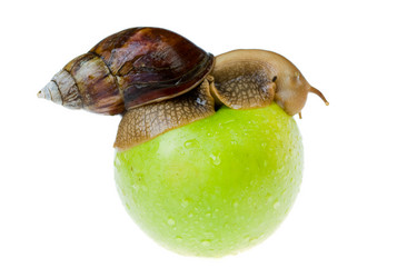 Similar image 476485