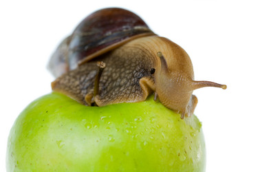 Similar image 476490