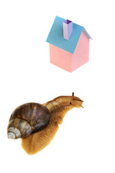 Similar image 476515