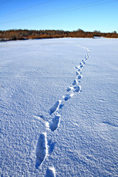 Similar image 476518