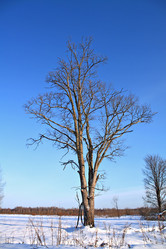 Similar image 476539