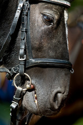 Similar image 476542