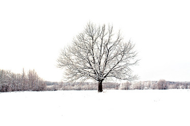 Similar image 476554