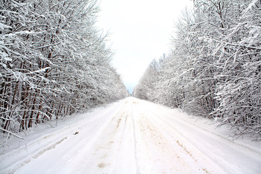 Similar image 476561