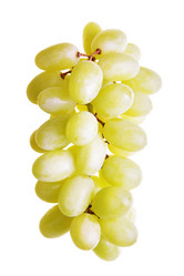 Similar image 476565