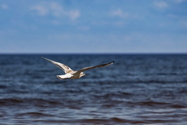 Similar image 476573