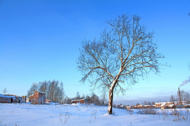 Similar image 476575