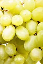 Similar image 476576