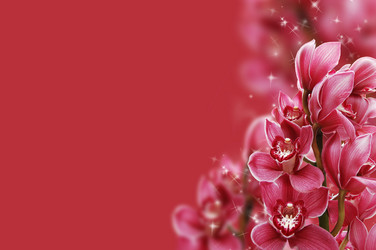 Similar image 476578