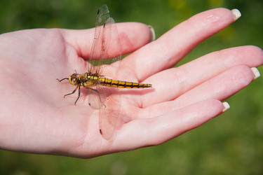 Similar image 476579