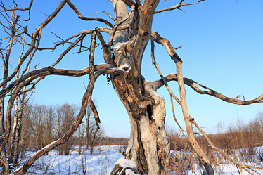 Similar image 476587