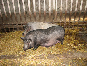 Similar image 476597