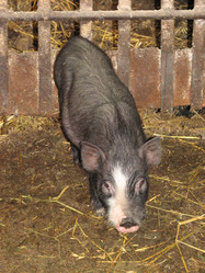 Similar image 476599