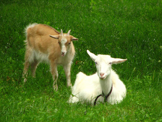 Similar image 476616