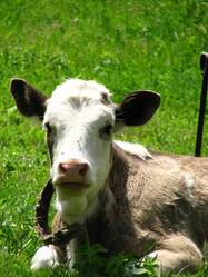 Similar image 476617