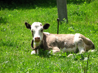 Similar image 476618