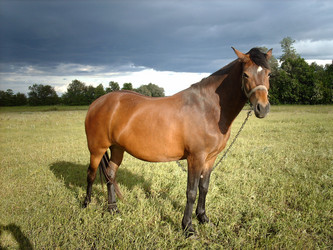 Similar image 476620