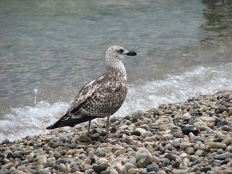 Similar image 476634