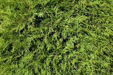 Similar image 476635