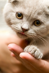 Similar image 476641