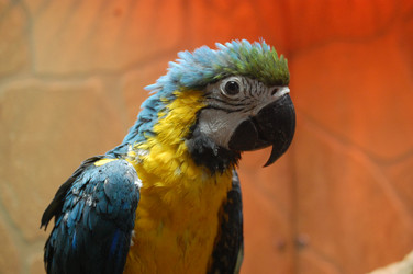 Similar image 476644