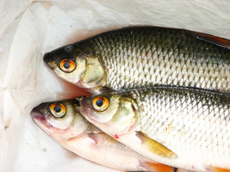 Similar image 476647