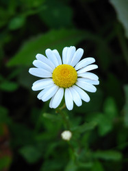 Similar image 476655