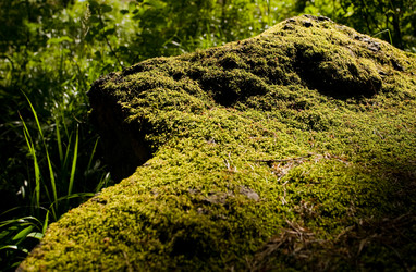 Similar image 476656