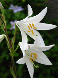 Similar image 476657