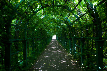 Similar image 476664