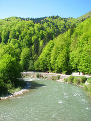 Similar image 476694