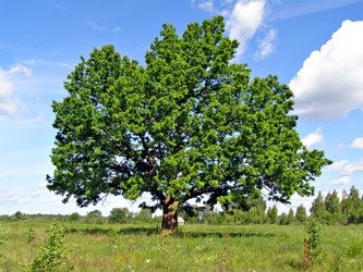 Similar image 476723