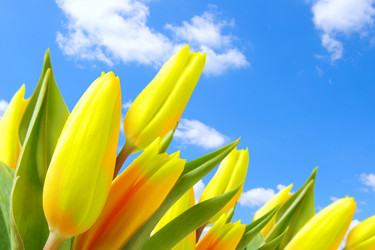 Similar image 476734