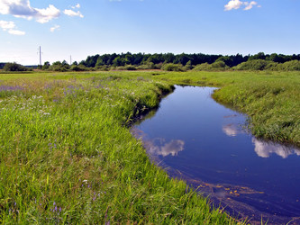 Similar image 476746