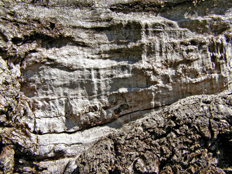 Similar image 476774