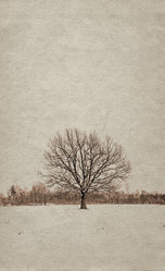 Similar image 476775