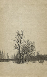 Similar image 476781