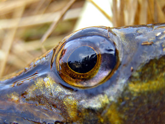 Similar image 476787