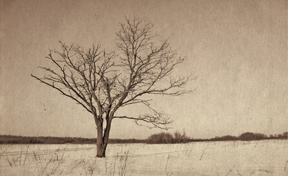 Similar image 476793