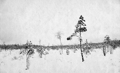 Similar image 476831