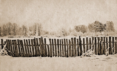 Similar image 476832