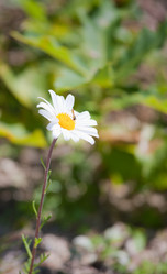 Similar image 476975