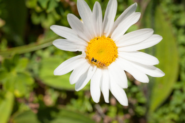 Similar image 476976