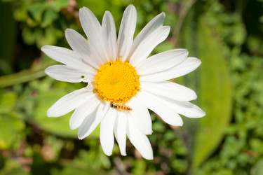 Similar image 476977