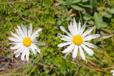 Similar image 476982