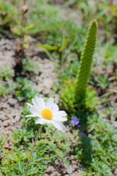 Similar image 476986