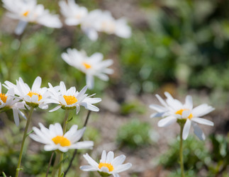 Similar image 476990