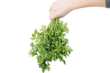 Similar image 476993