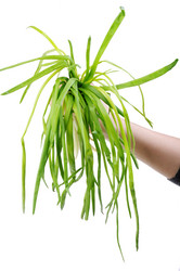 Similar image 477004